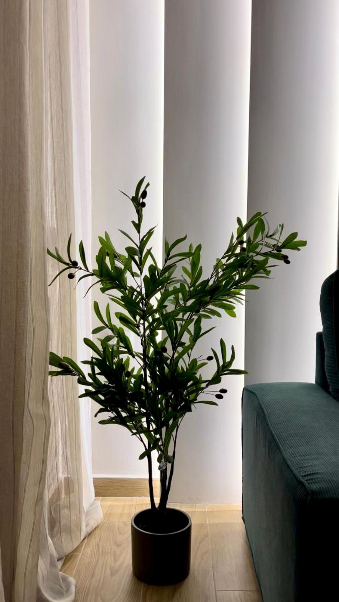 Emerald Luxury Apartments - Ath Airport Spáta المظهر الخارجي الصورة
